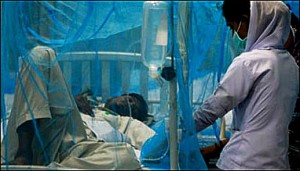 Dengue Treatment 