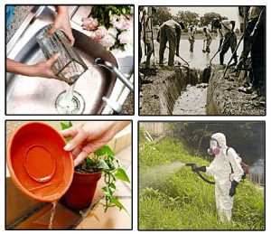 dengue-prevention methods