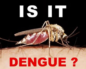 Dengue