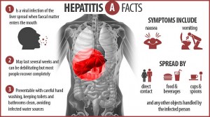 hepatitis-a-facts