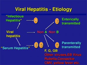 hepatitis-virus