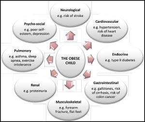 obesity-figure