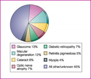 eye-disorders