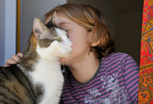 Communicating ringworm from the pets
