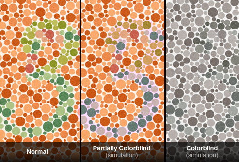 Color Blindness test
