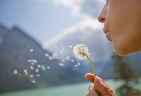 Avoid Nasal Allergens