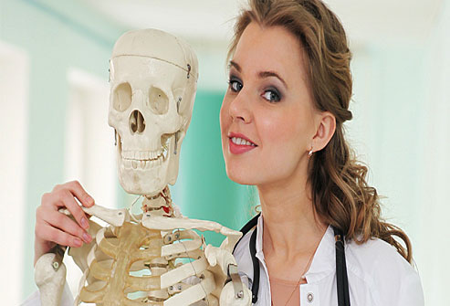 Myths and Facts about Our Bones