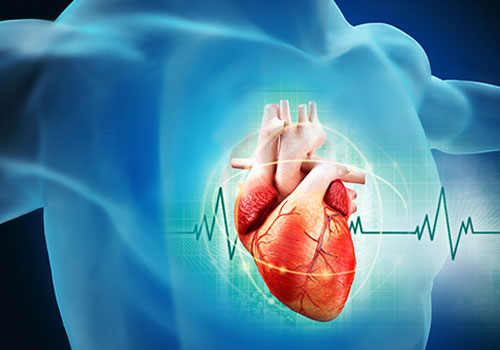 Ways to Lower Down the Risk of Heart Disease