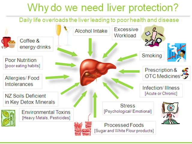 How to Improve Liver Function