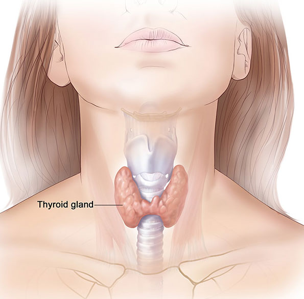 Thyroid Treatment
