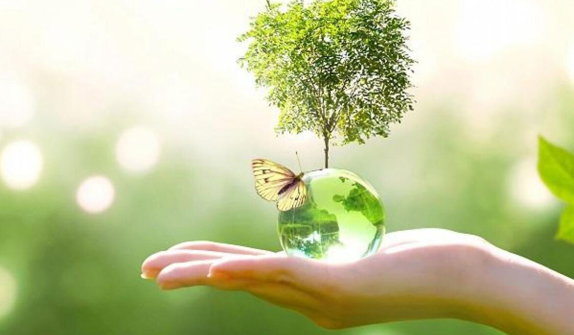 med-vonnect-awareness-world-environmental-health