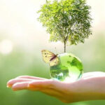 MediConnect Awareness Mission-World Environmental Health Day (September 26)