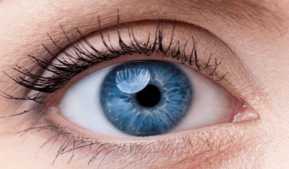 spread-awareness-and-celebrate-world-retina