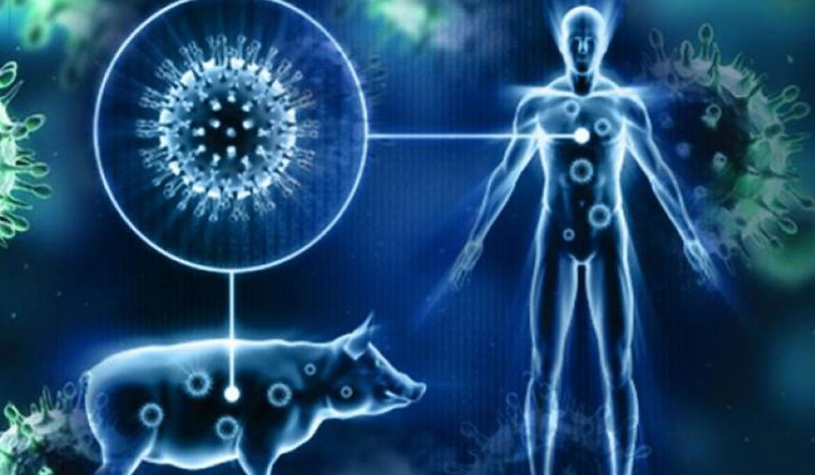 how-to-deal-with-swine-flu