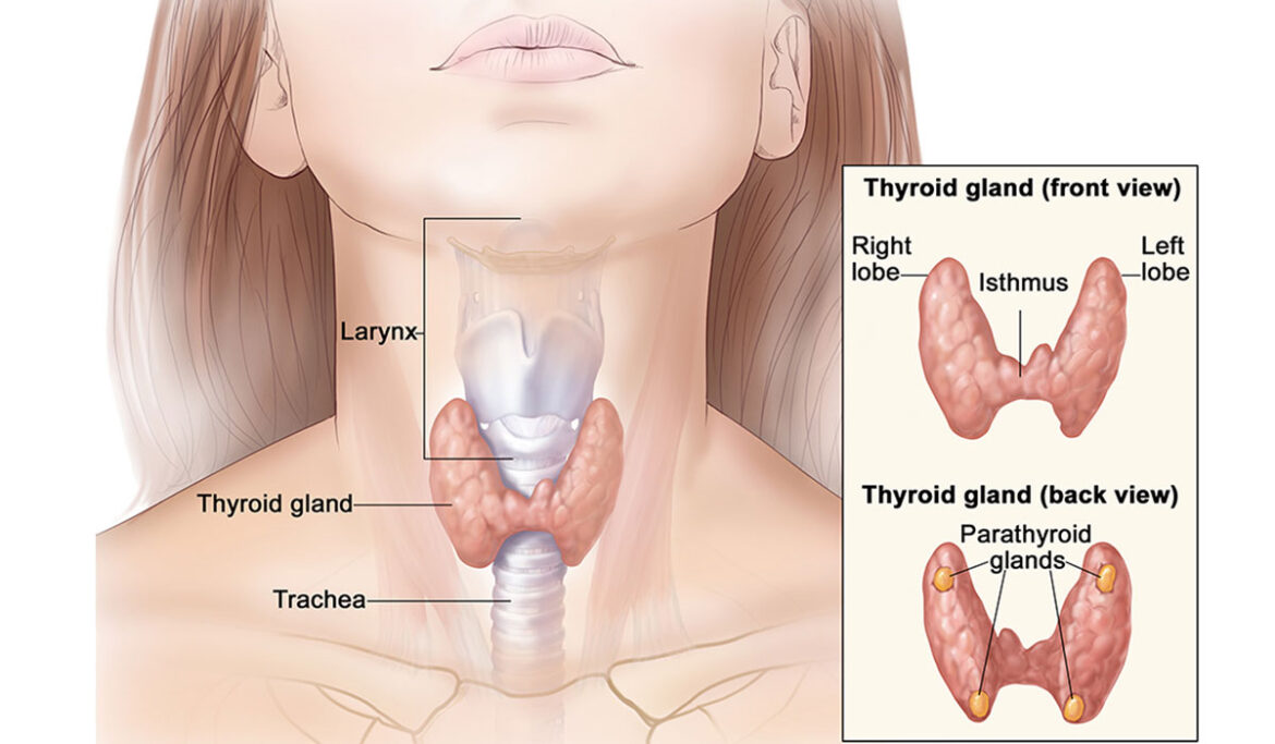 thyroid-causes-and-symptoms
