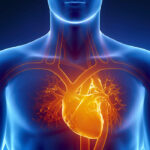 Venkateshwar Hospital Delhi Cardiac Package