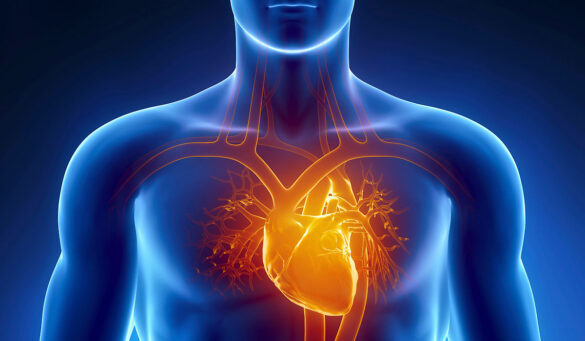 Venkateshwar Cardiac Packages