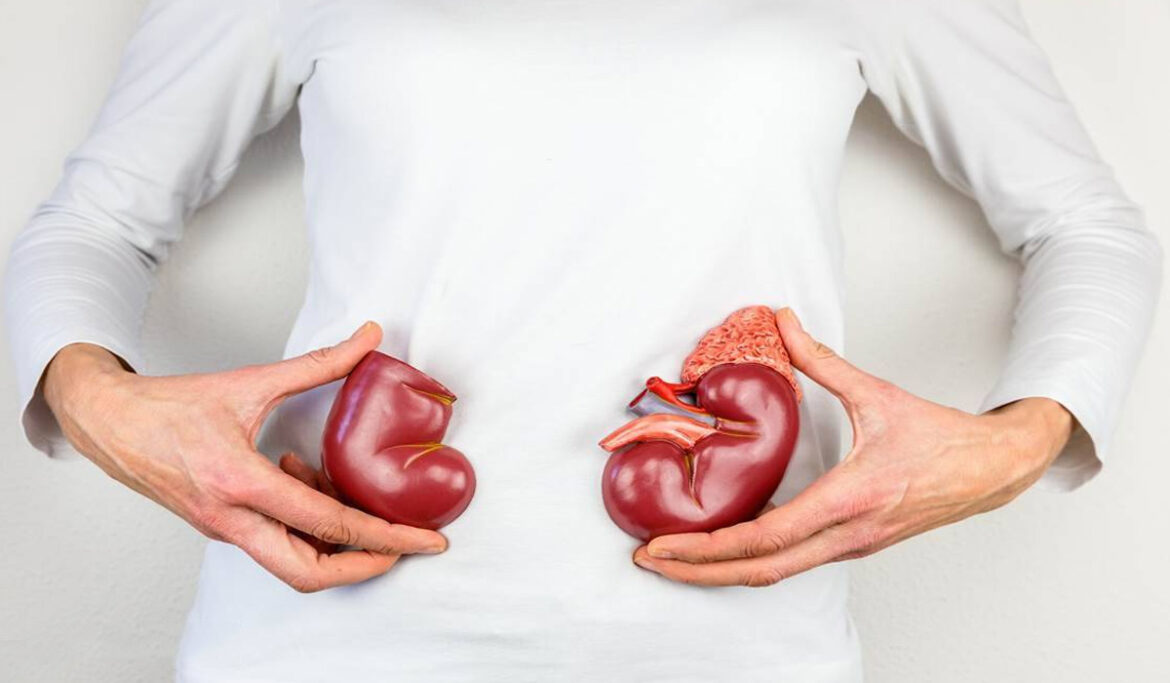 banner-kidney-cancer