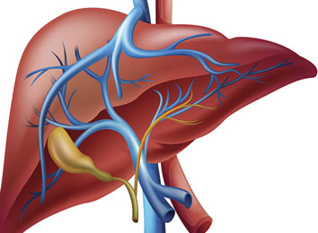 icon_301_919 cirrhosis-of-liver-treatment-in-india