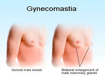 icon_444_5321 intro-1