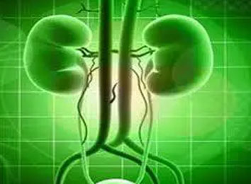 oiu-optical-internal-urethrotomy-in-india