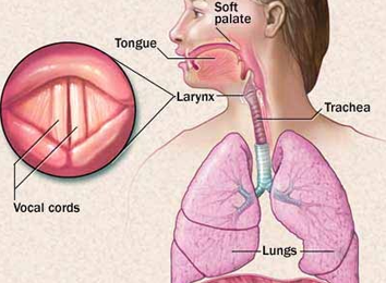 laryngectomy-surgery-in-india